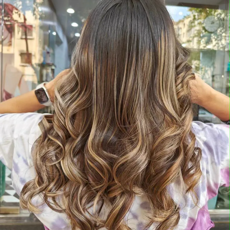 Sleek ponytail elegant updo hairstyle