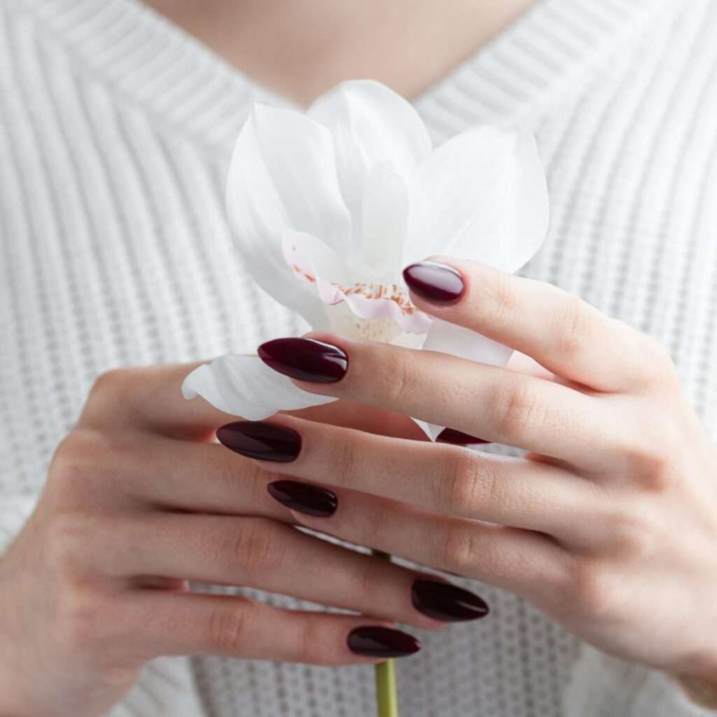 Hands of a young woman with dark red manicure on nails